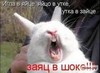 Http hotgranniessexlognl